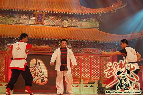 中华武术八极拳