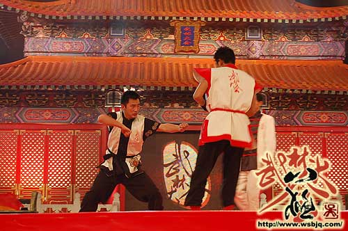 中华武术八极拳
