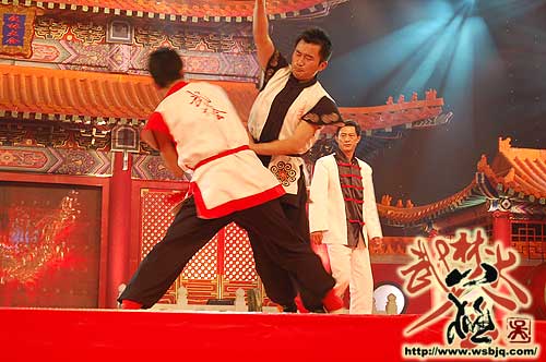 中华武术八极拳