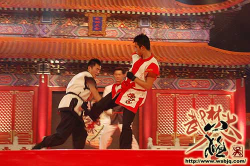 中华武术八极拳