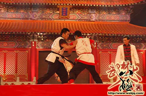 中华武术八极拳