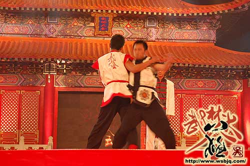 中华武术八极拳