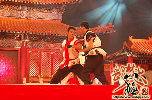 中华武术八极拳