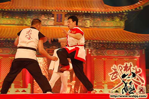 中华武术八极拳