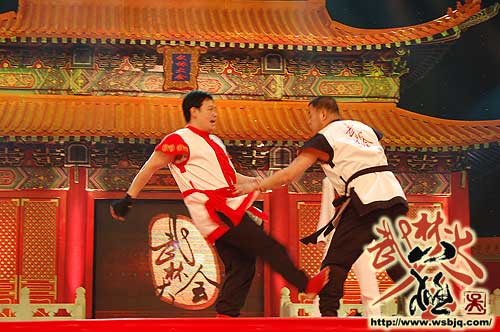 中华武术八极拳