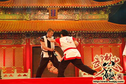 中华武术八极拳