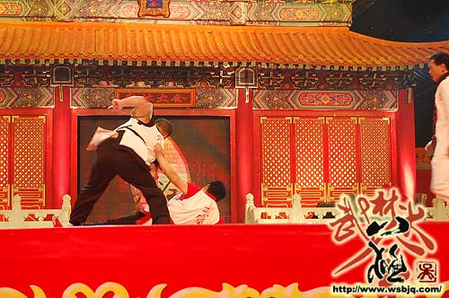 中华武术八极拳