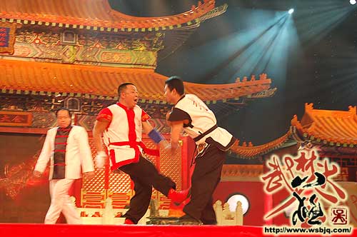 中华武术八极拳