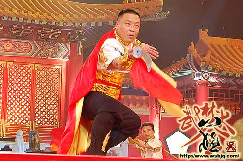 中华武术八极拳