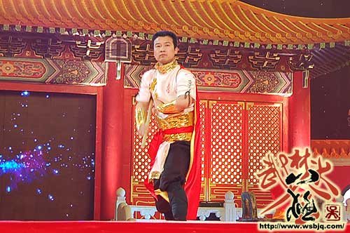 中华武术八极拳