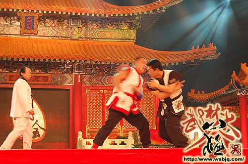 中华武术八极拳