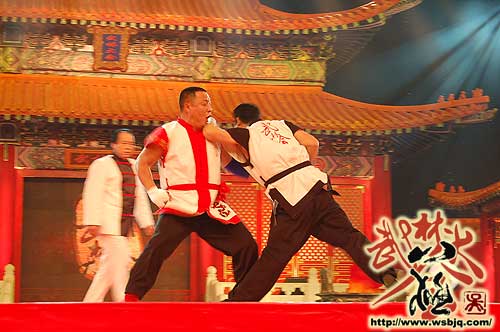 中华武术八极拳