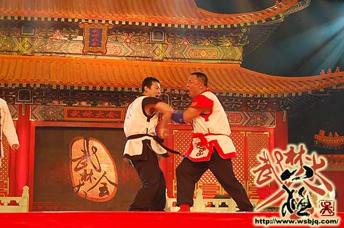 中华武术八极拳