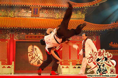 中华武术八极拳