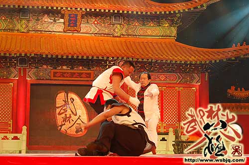 中华武术八极拳