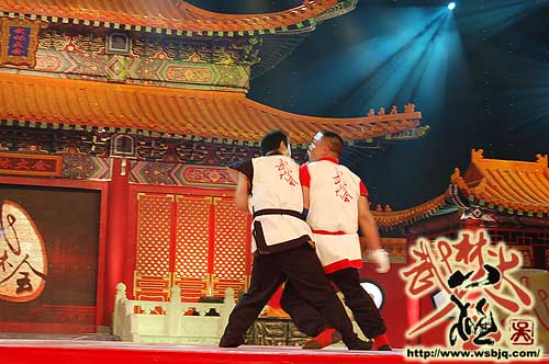 中华武术八极拳