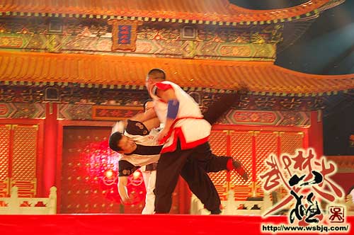 中华武术八极拳