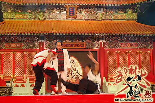 中华武术八极拳