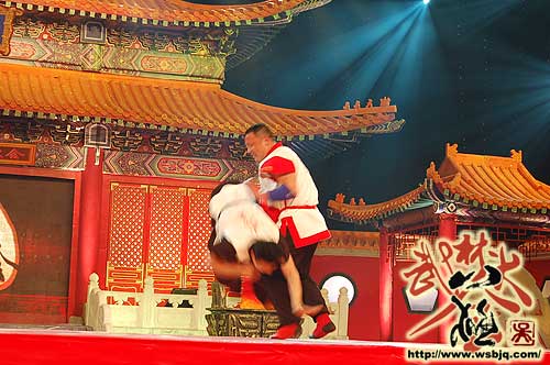 中华武术八极拳