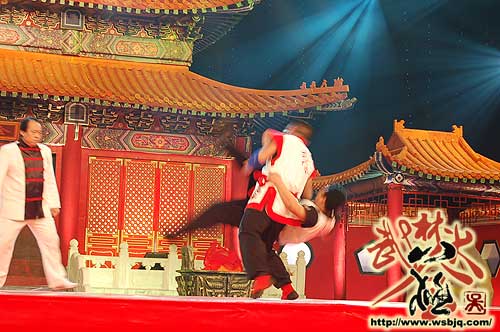 中华武术八极拳