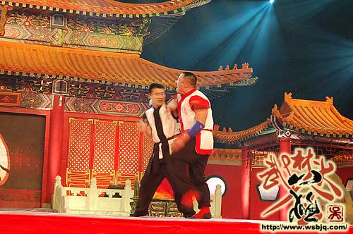 中华武术八极拳