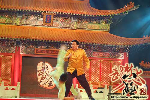 中华武术八极拳