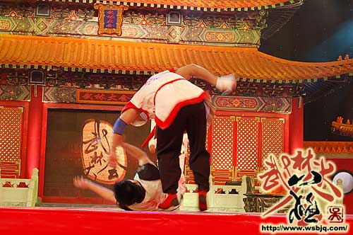 中华武术八极拳