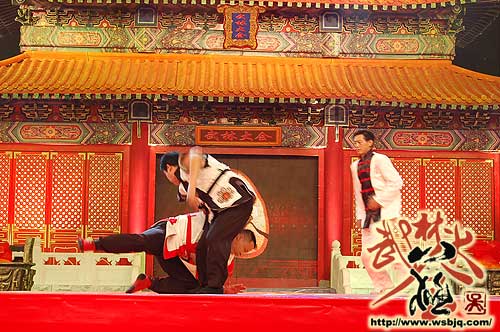 中华武术八极拳