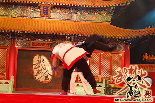 中华武术八极拳