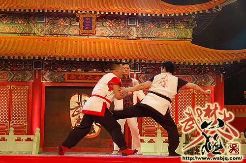 中华武术八极拳