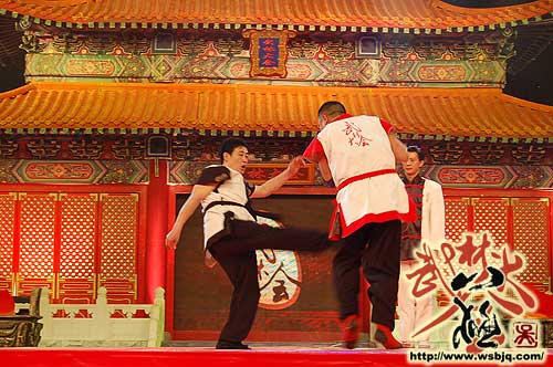 中华武术八极拳