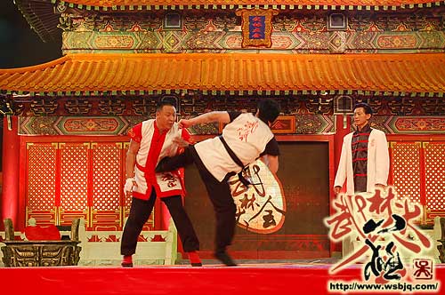 中华武术八极拳