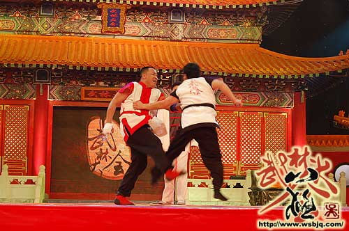 中华武术八极拳