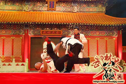 中华武术八极拳