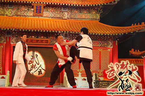 中华武术八极拳