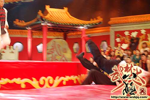 中华武术八极拳