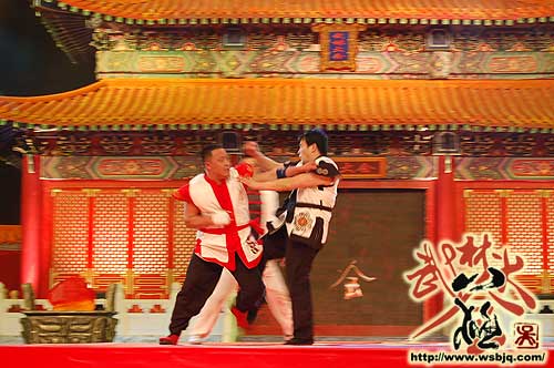 中华武术八极拳