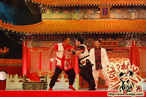 中华武术八极拳