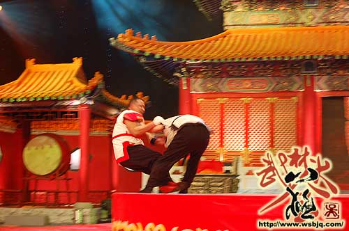 中华武术八极拳