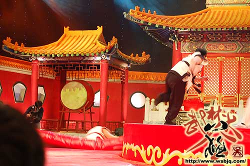 中华武术八极拳