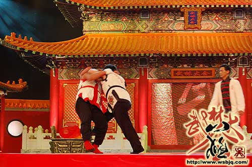 中华武术八极拳