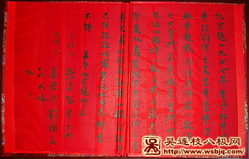 中华武术八极拳