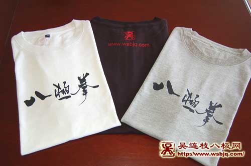 中华武术八极拳