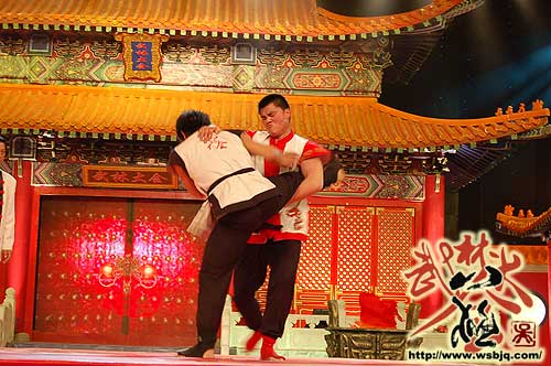 中华武术八极拳