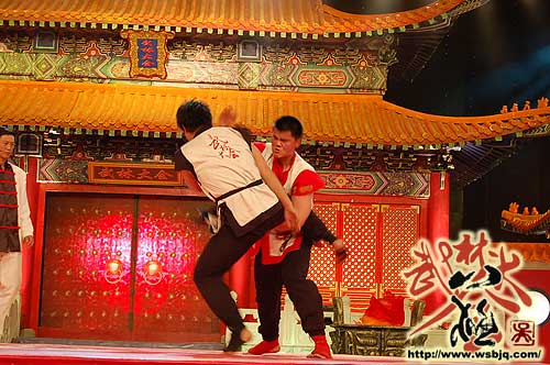 中华武术八极拳