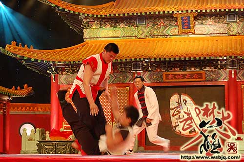 中华武术八极拳