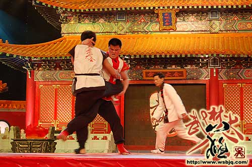 中华武术八极拳