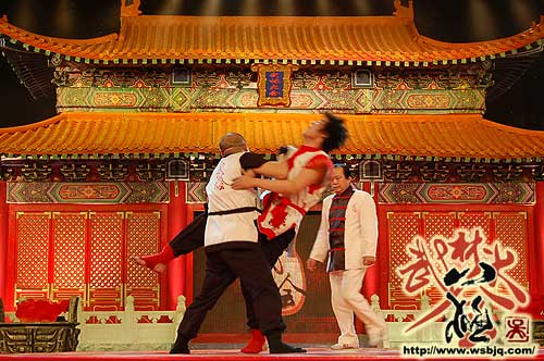 中华武术八极拳