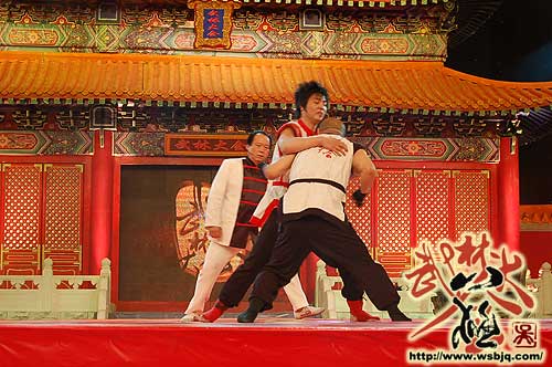 中华武术八极拳