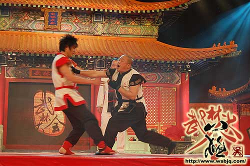中华武术八极拳